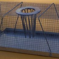Cray Pot Rat Trap