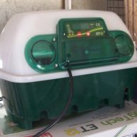 Incubator