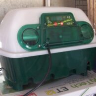 Incubator Rivers (Covino) Made in Italy