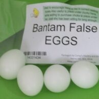 False Eggs - Bantum - Pk 4
