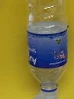 Bottle Cup (avairy and chick)