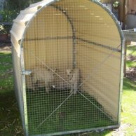 Budget Dome pet enclosure