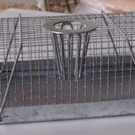 Wire box live mouse trap - cray