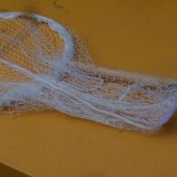 Bird Net