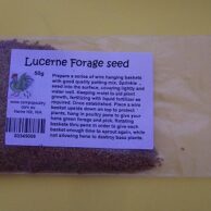 Lucerne Forage Seed