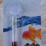 Glass Thermometer