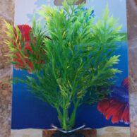 Betta Flora #1 green/yellow