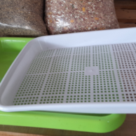 Microgreen tray