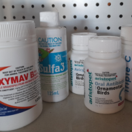 Avairy Bird Antibiotics