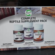 Reptile
