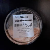 Giant Mealworms (comps) 50g