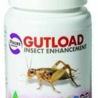 Gutload 40g