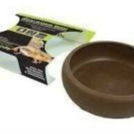 Komodo Mealworm dish