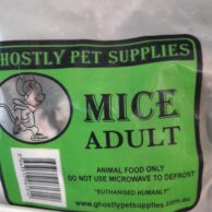 Mice- Adult - 5pack