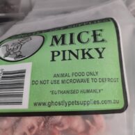 Mice Pinkies- 10 pack