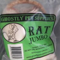 Rat- Jumbo Adult