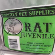 Rat Juvenile- 2 pack