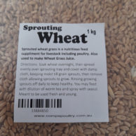 Sprouting Wheat 1kg