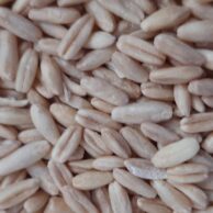 De-Hulled Oats by Kilo