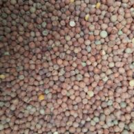 Peas by Kilo