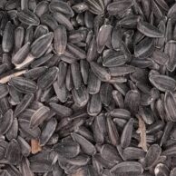 Sunflower Black by kilo