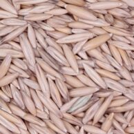 Oats whole -per kilo