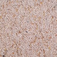 French White Millet by the Kilo