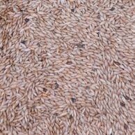Safflower Seed per kilo
