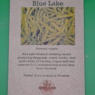 Bean- Blue Lake