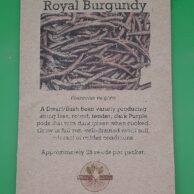 Bean- Royal Burundy