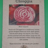 Beetroot- Chioggia