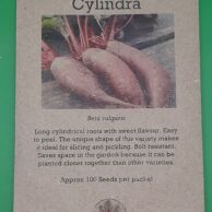 Beetroot- Cylindra