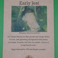 Cauliflower- Early Jesi