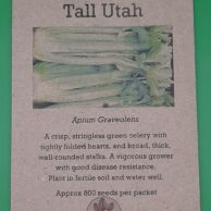 Celery Tall Utah
