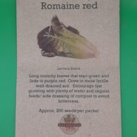 Lettuce- Romaine Red