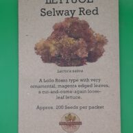 Lettuce- Selway Red
