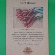 Onion- Bunching Onion Red Beard