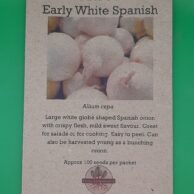Onion_ Early White Spanish