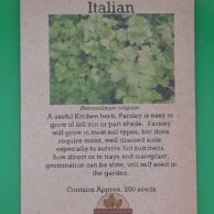 Parsley- Italian