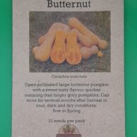 Pumpkin- Butternut