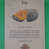 Pumpkin- Jap
