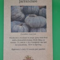 Pumpkin- Jarrahdale