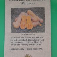 Pumpkin- Butternut Waltham