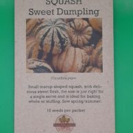 Squash- Sweet dumpling