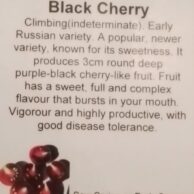 Tomato Black Cherry
