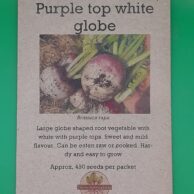 Turnip Purple Top White Globe