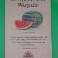 Watermelon Warpaint