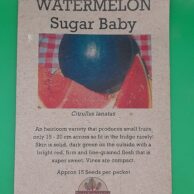 Watermelon Sugar Baby