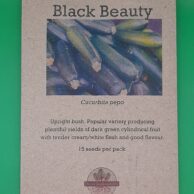 Zucchini Black Beauty