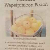 Tomato Wapsipinicon Peach